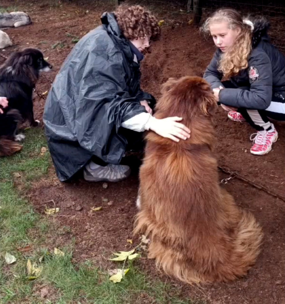 Weca 2025 - Mont Dore