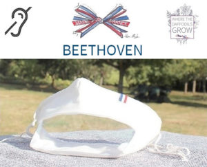 Masques transparents Beethoven